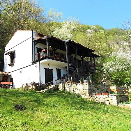 Milkovata Guest House Koshov Eksteriør bilde