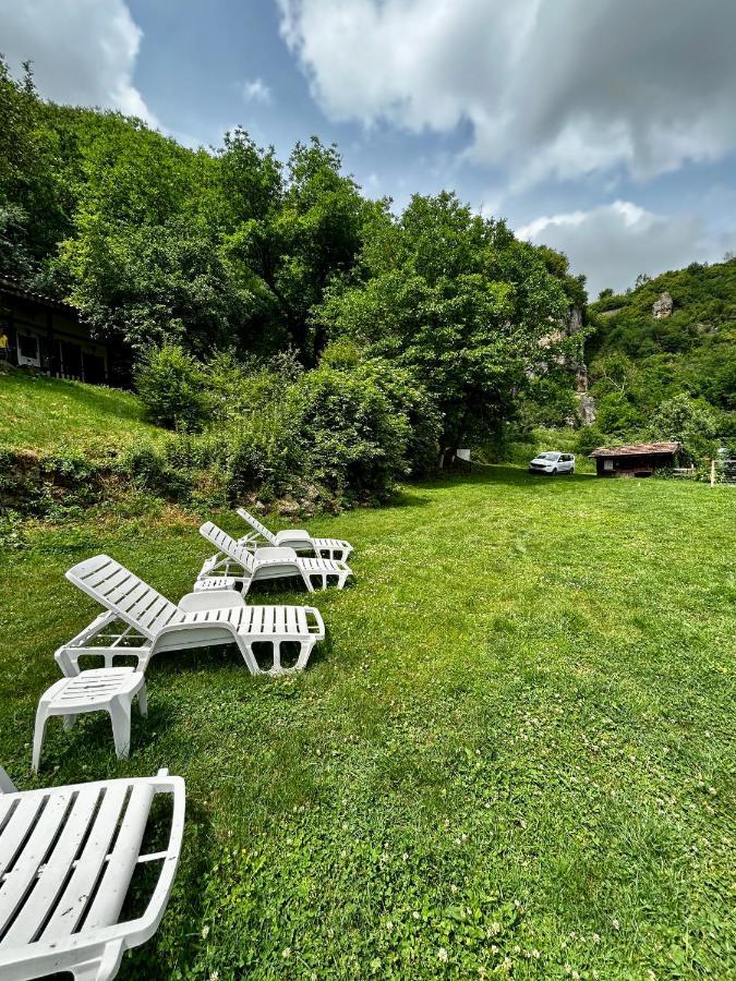 Milkovata Guest House Koshov Eksteriør bilde