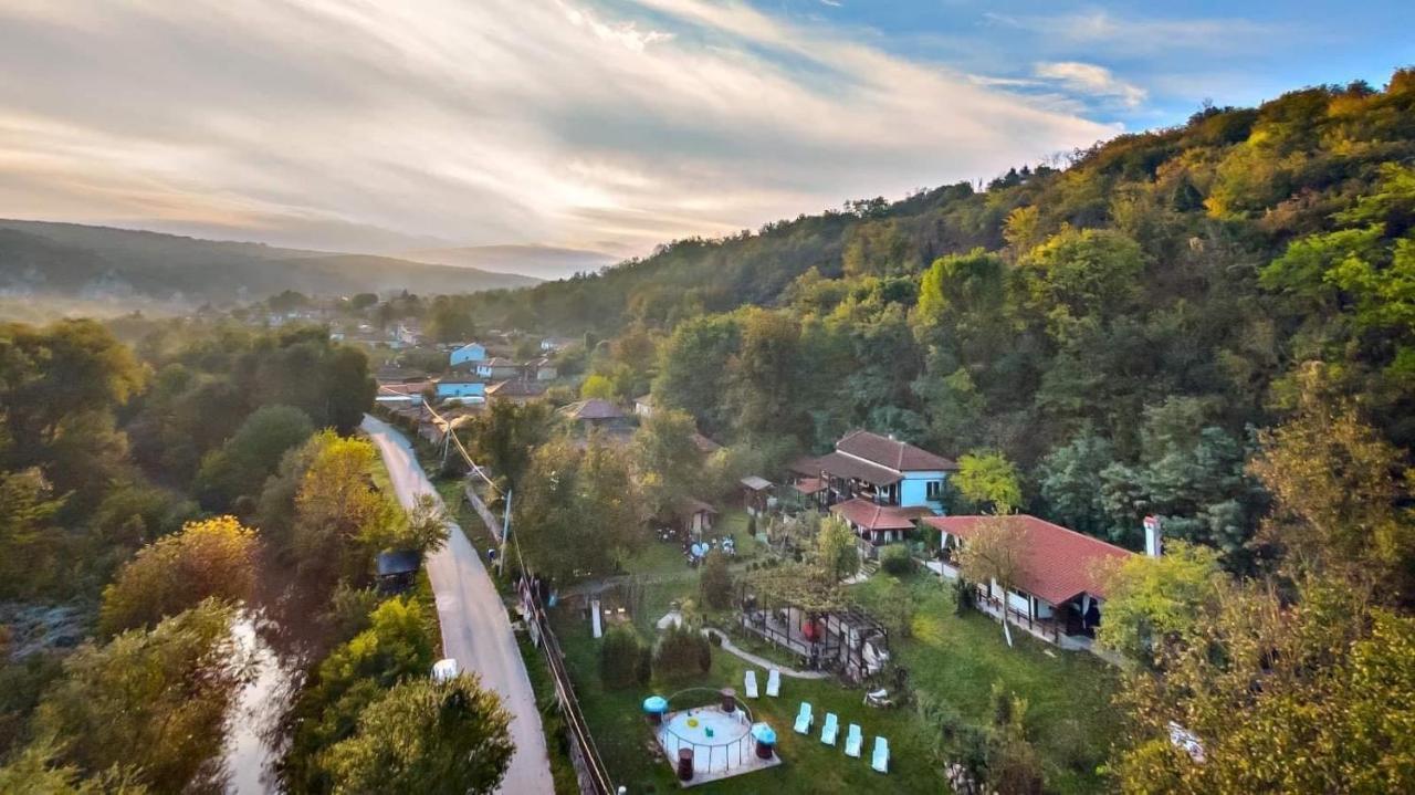 Milkovata Guest House Koshov Eksteriør bilde