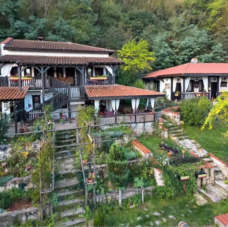 Milkovata Guest House Koshov Eksteriør bilde