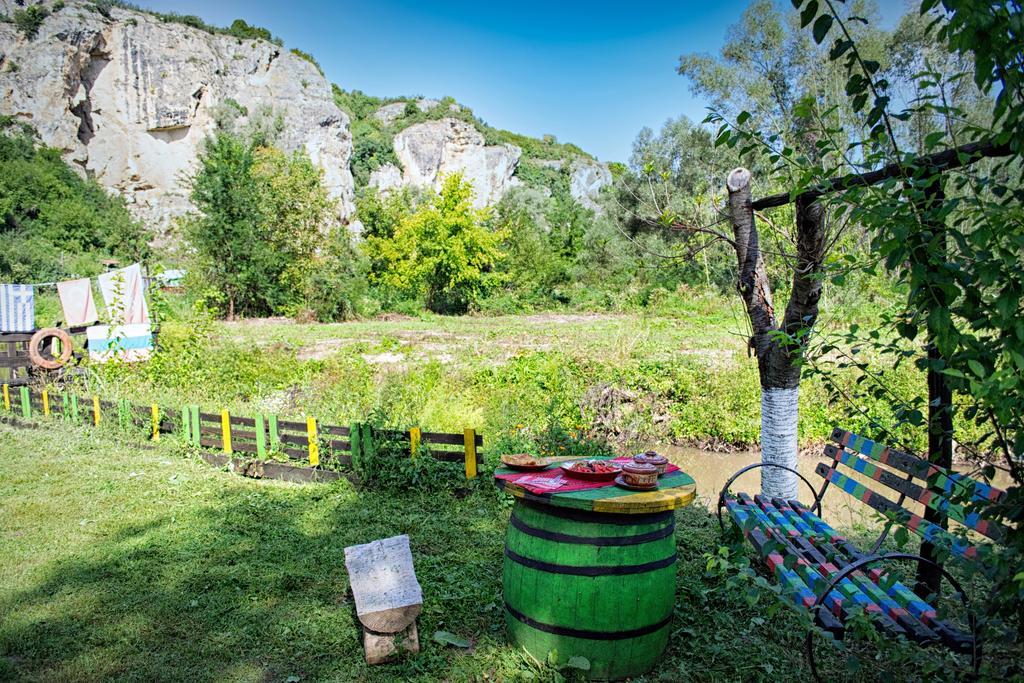 Milkovata Guest House Koshov Rom bilde