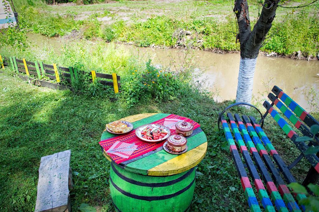 Milkovata Guest House Koshov Rom bilde